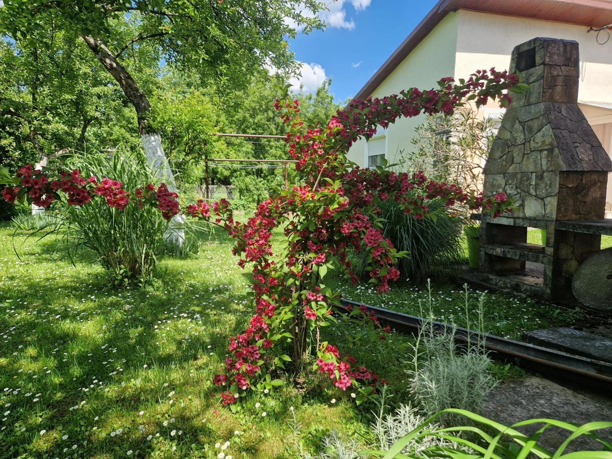 Studio Apartman Marica - Ogulin, Hrvatska Bagian luar foto